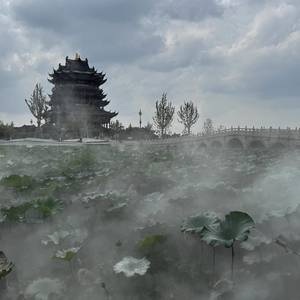 阳澄湖畔
