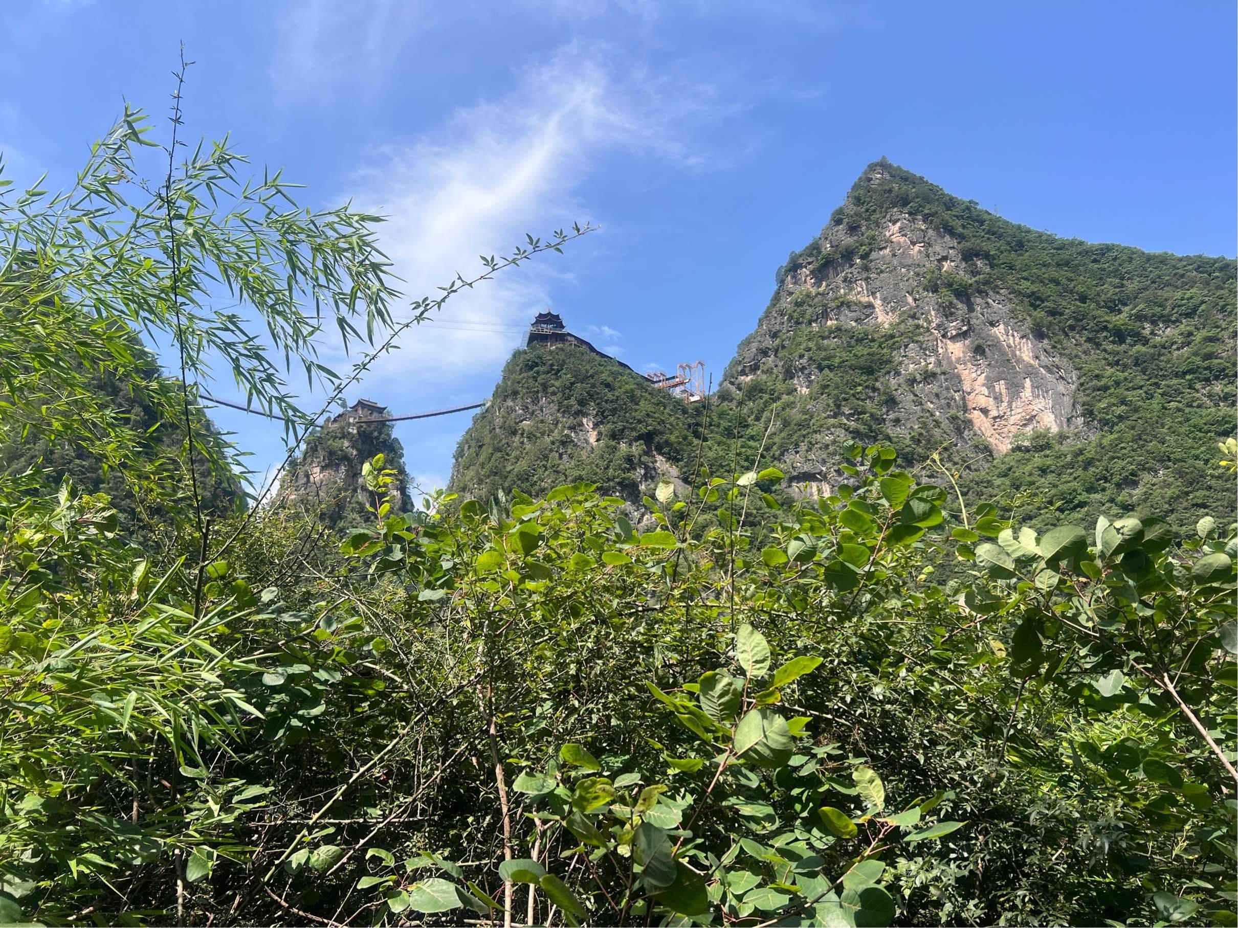 红鲤鱼与绿鲤鱼