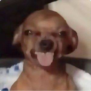 PAN
