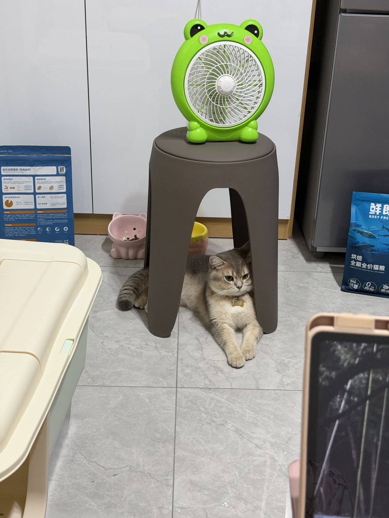 大酱