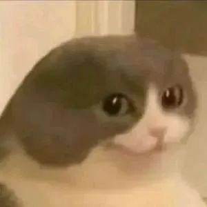 007