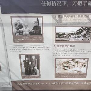 石家庄的哥