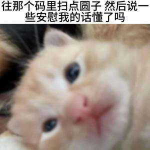 愤怒的小毛咪