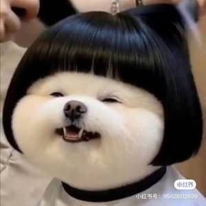 白大十