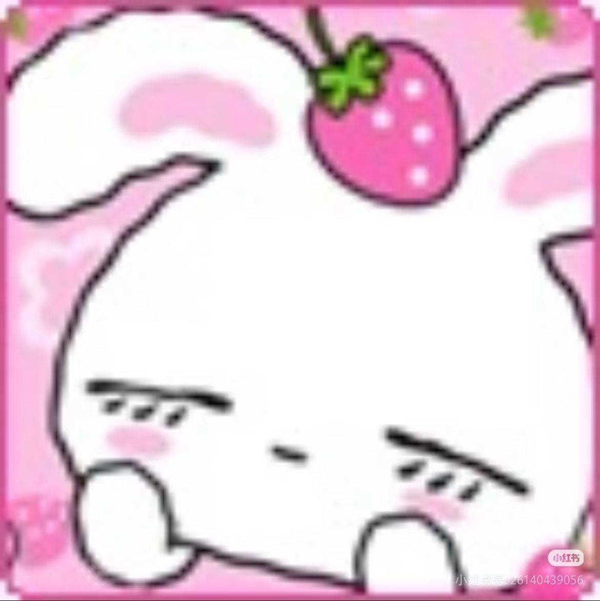 等猫回家