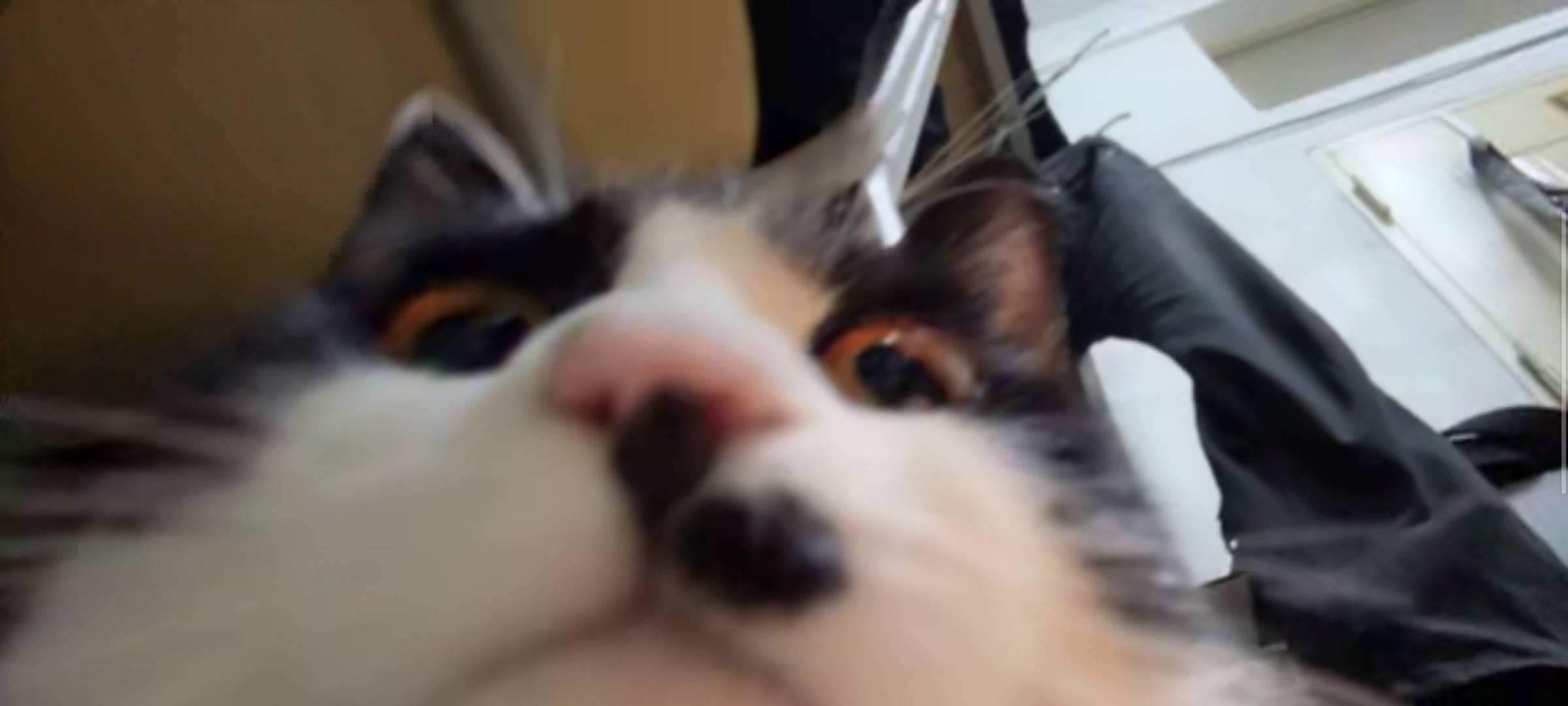 屏幕杀手