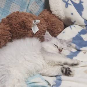 Winnie