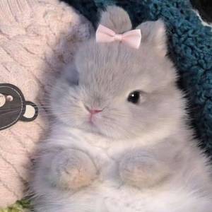 ღ