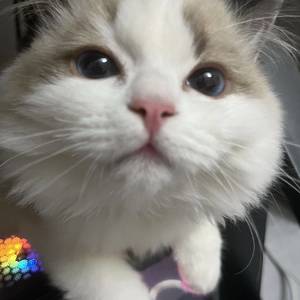 ㅤㅤㅤㅤ