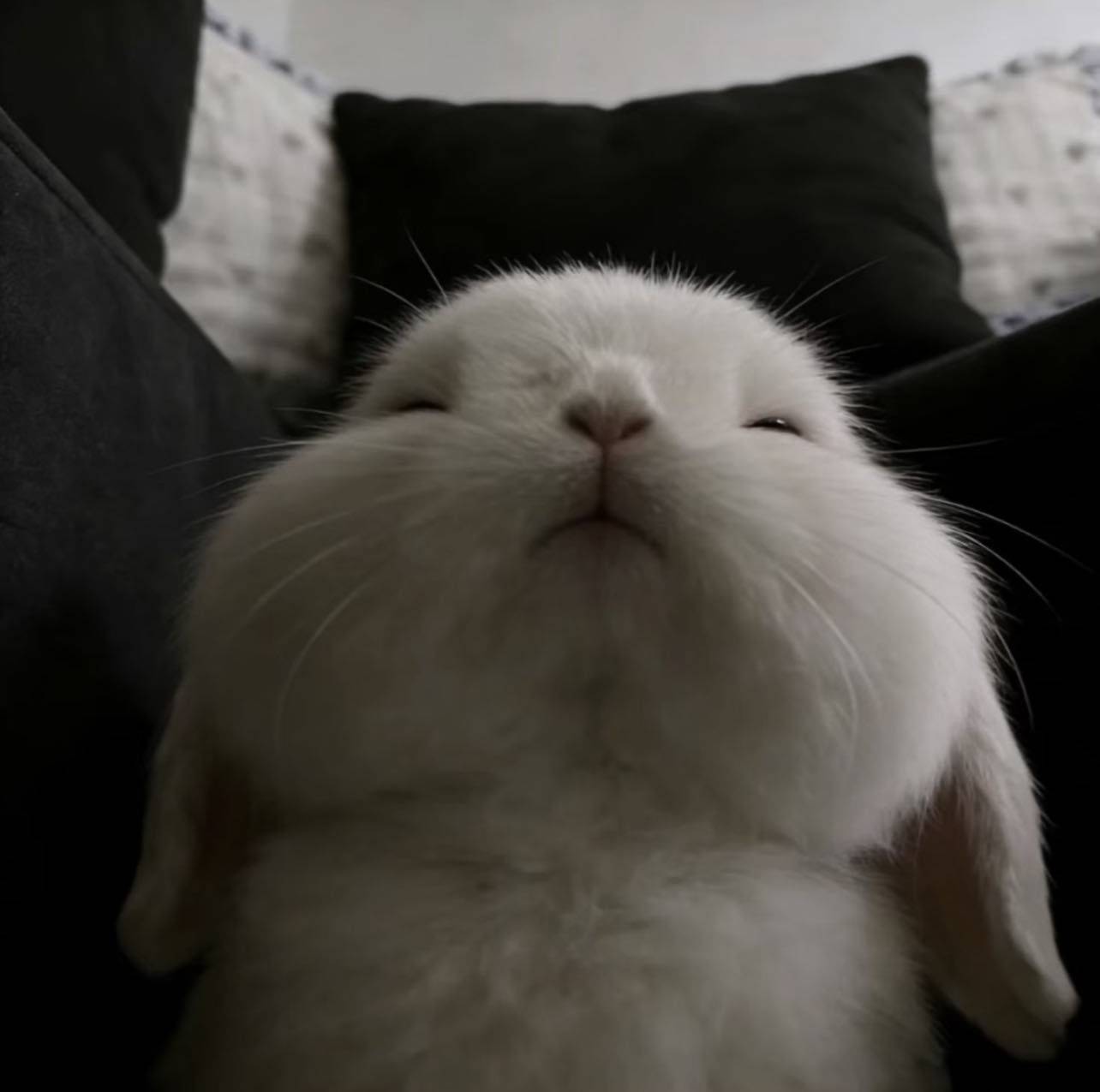 💨