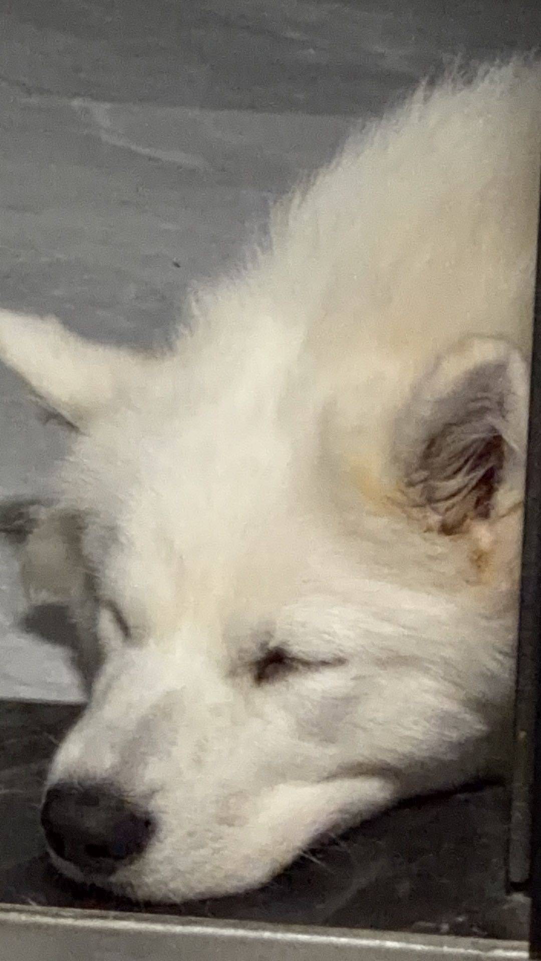 夏生于南方