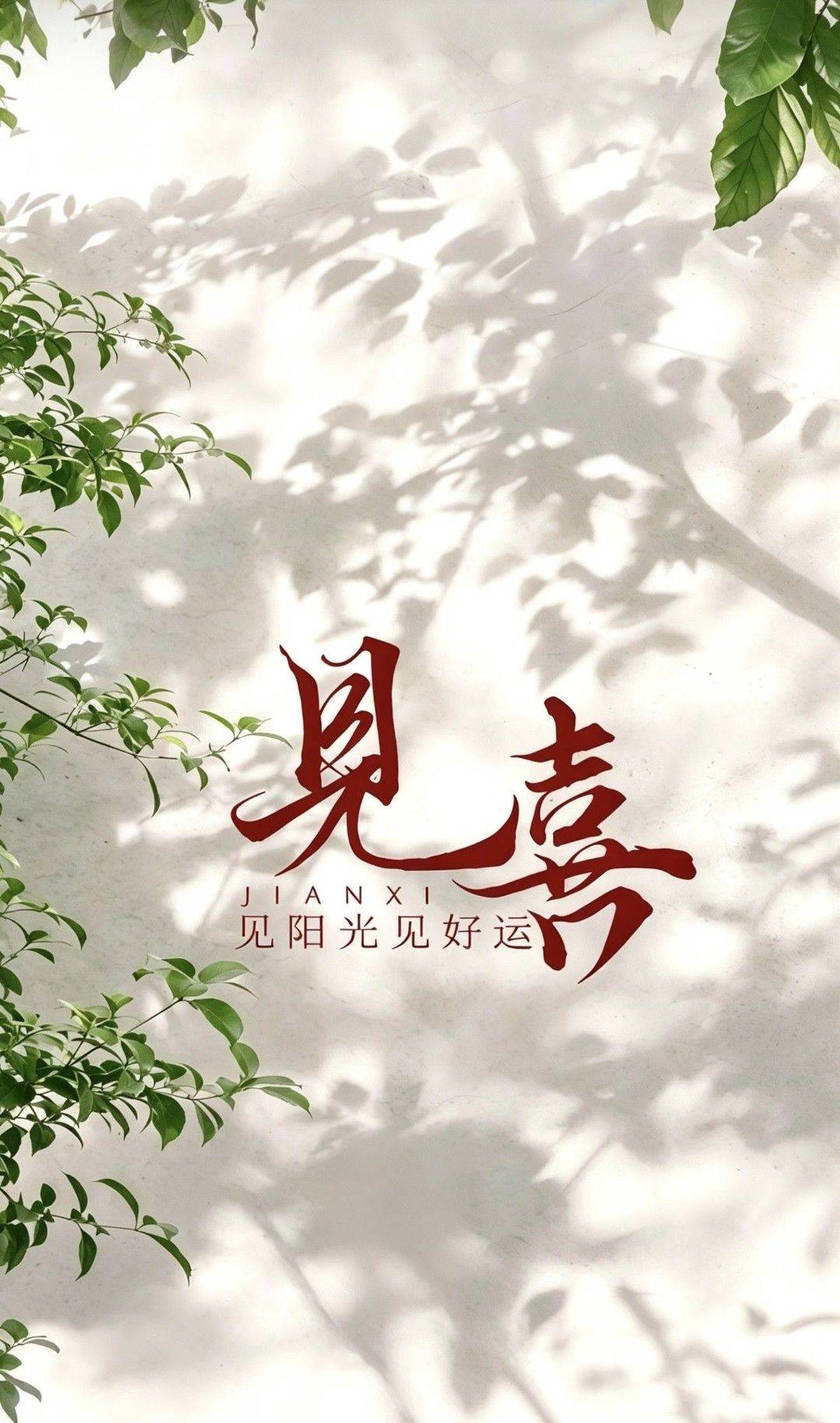 沫沫