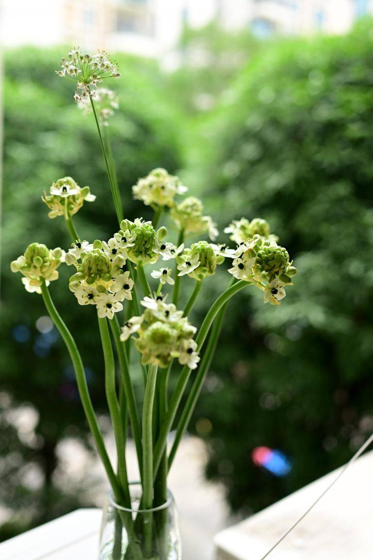 漫漫