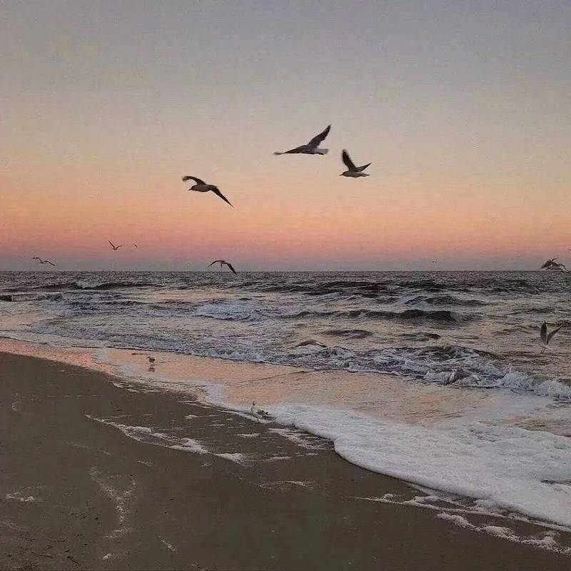 流芳百世的噜