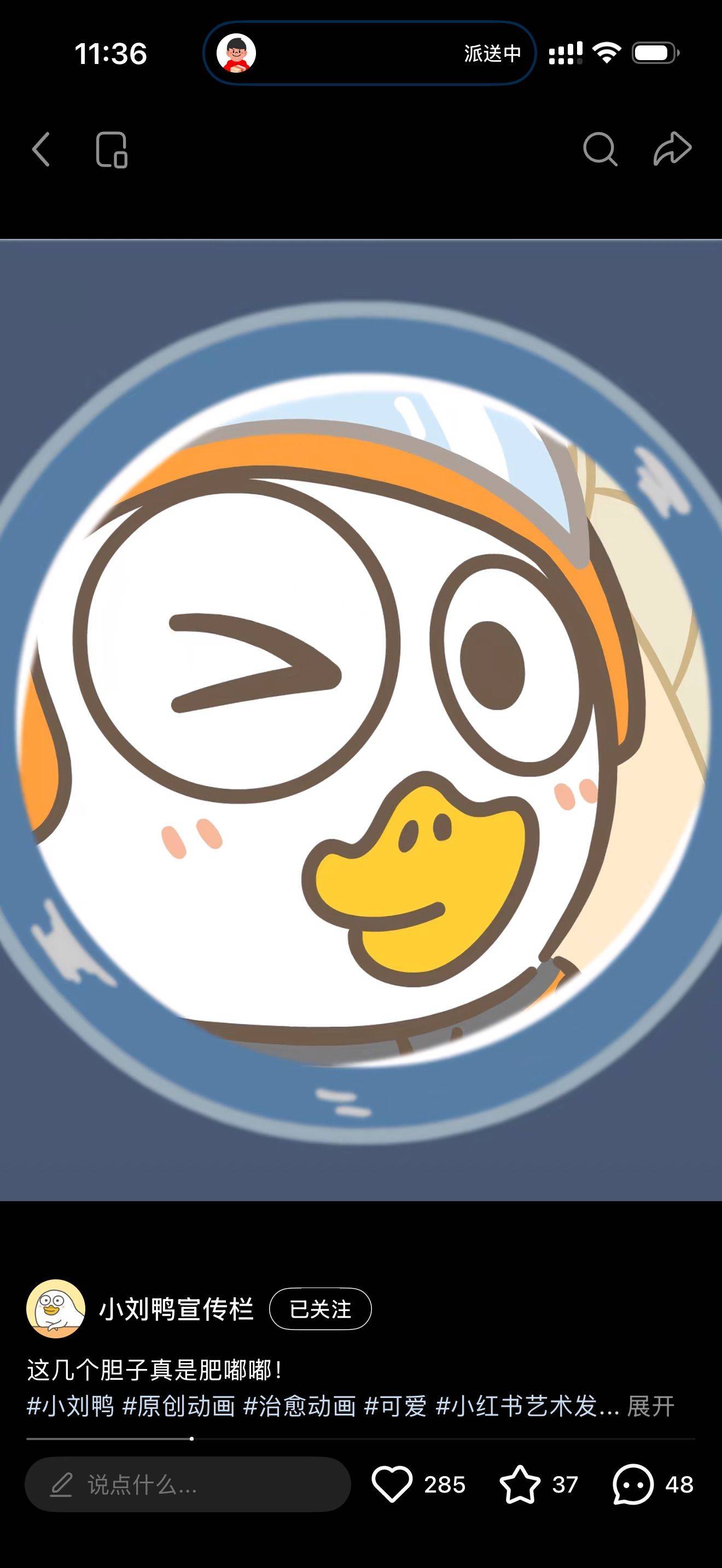 lamiii