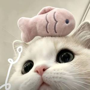 隅