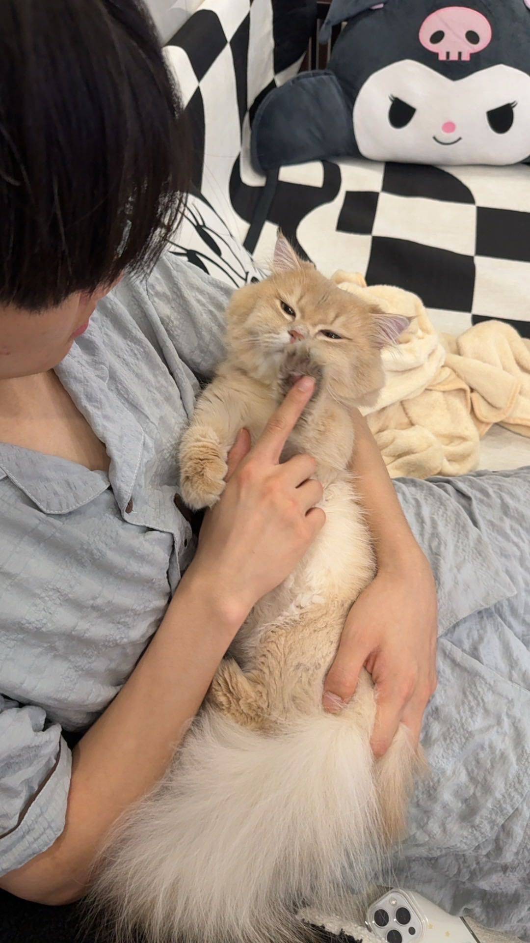 太二了