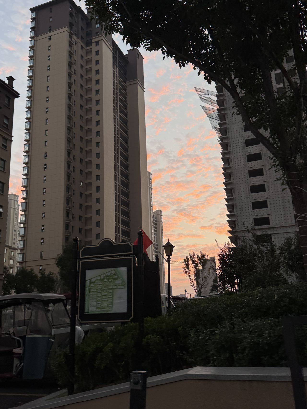 小董