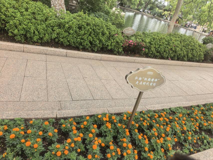 中园房居然