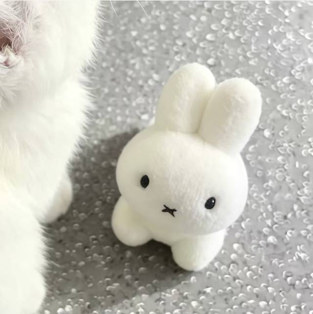 洋葱c
