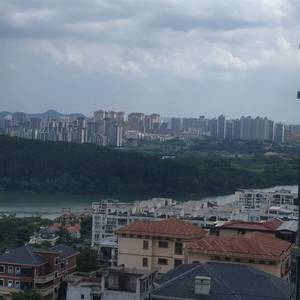 小龙仔