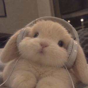 泥吃堡了橙的🥨