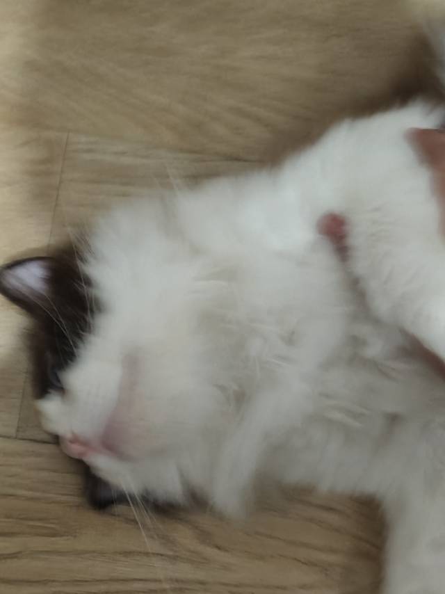 溪