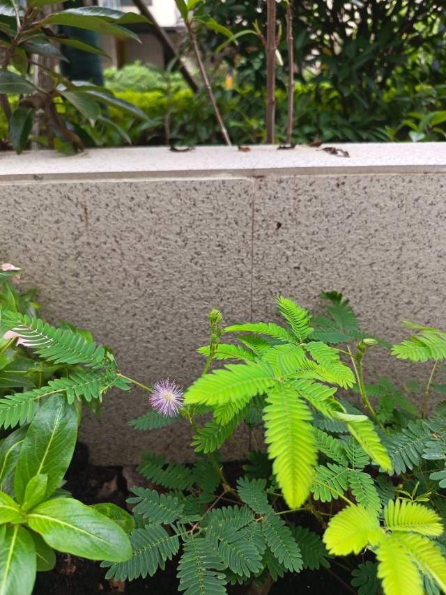 这样何不