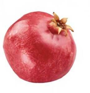鱼