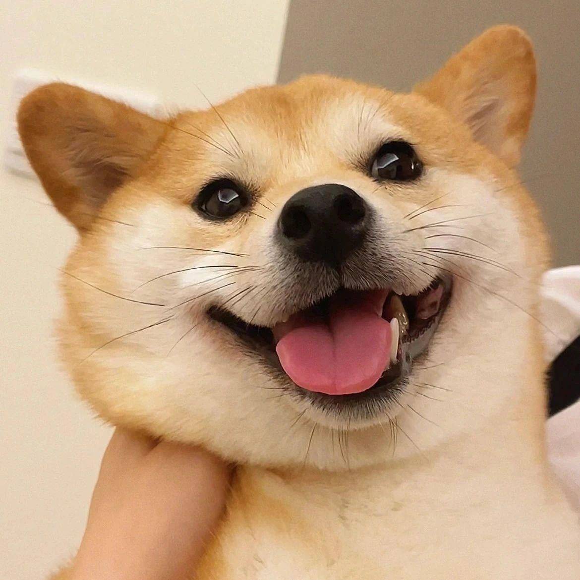 云