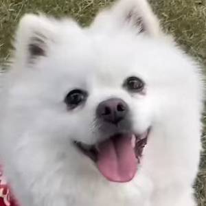招租中