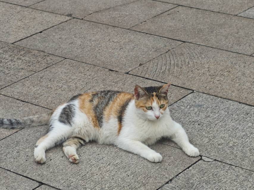 她