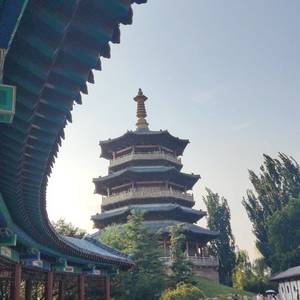李女士