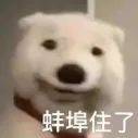 油条配糖包.