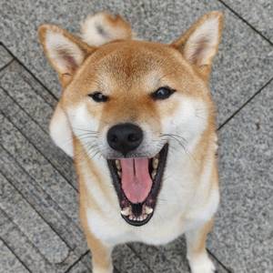 忧郁十五