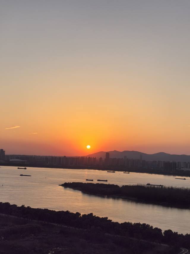真诚的龙