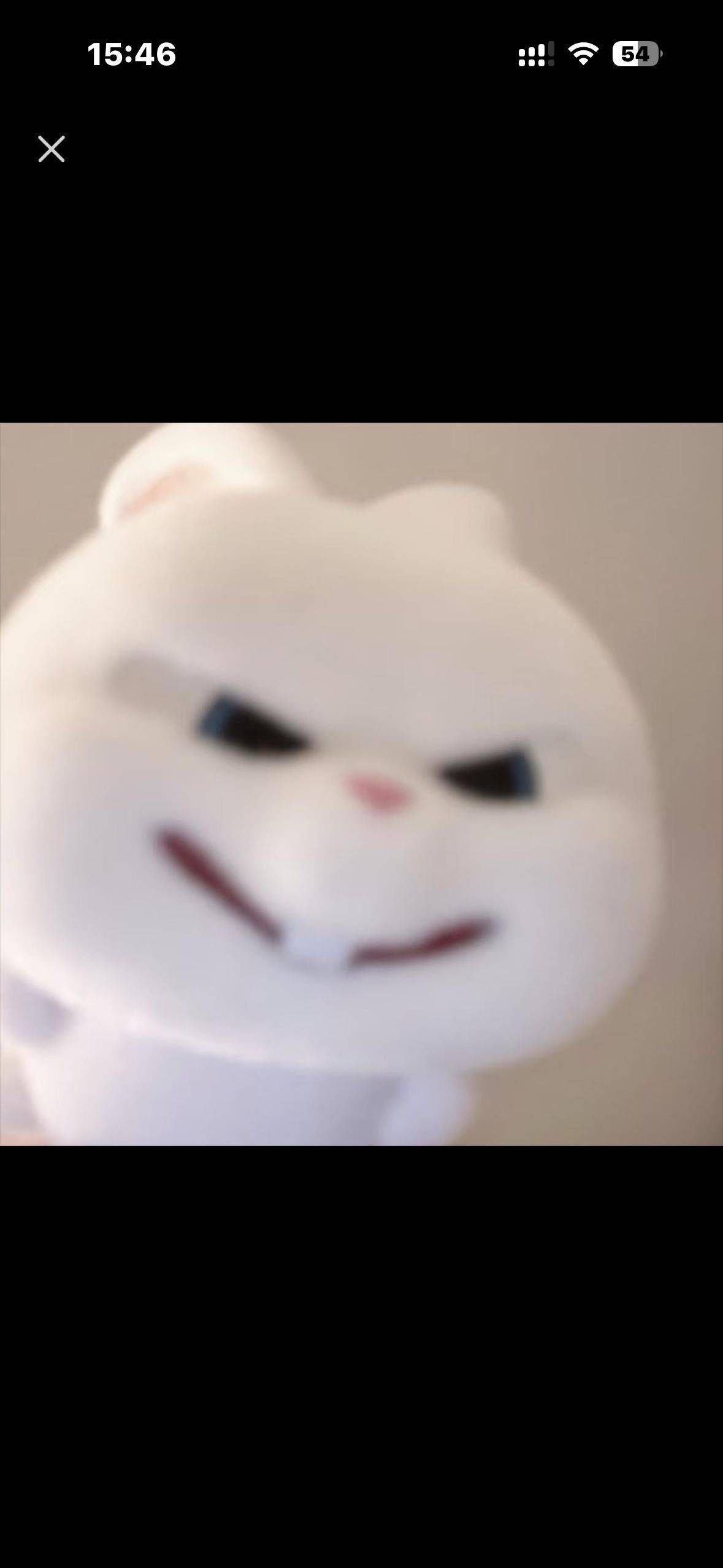 Qq