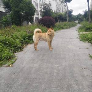 宝贝计划