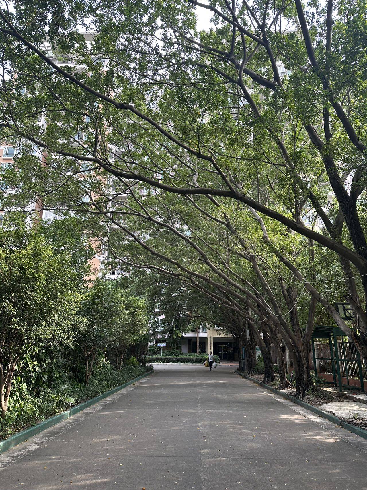 窗过梁