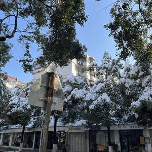 小鲨鱼