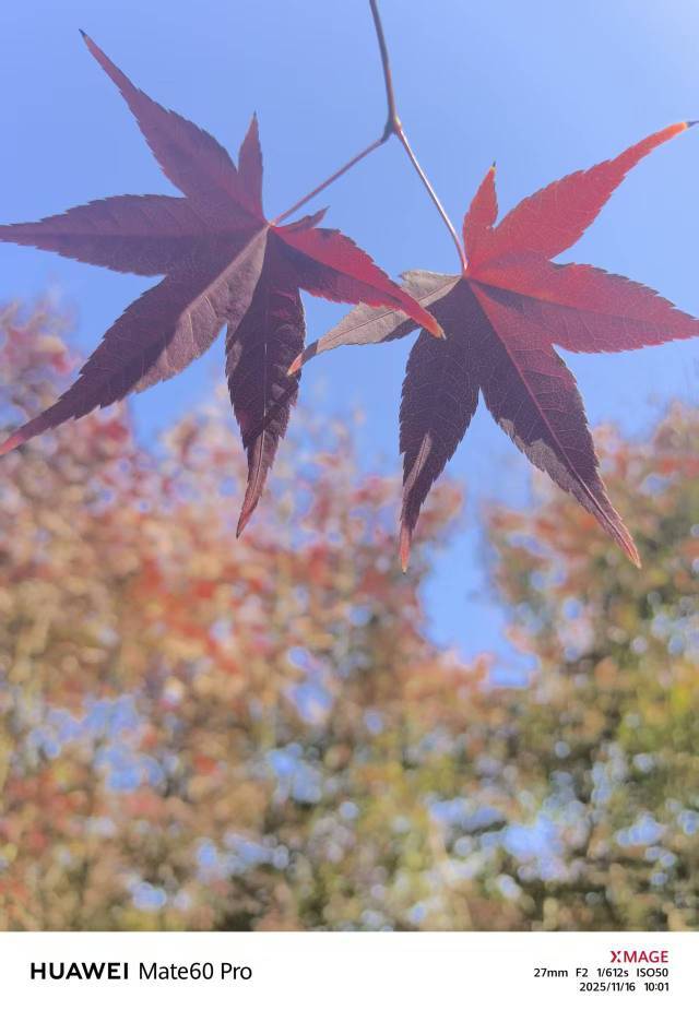 大漠孤烟