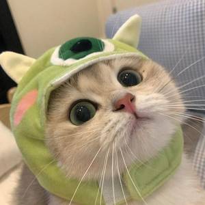 黄政