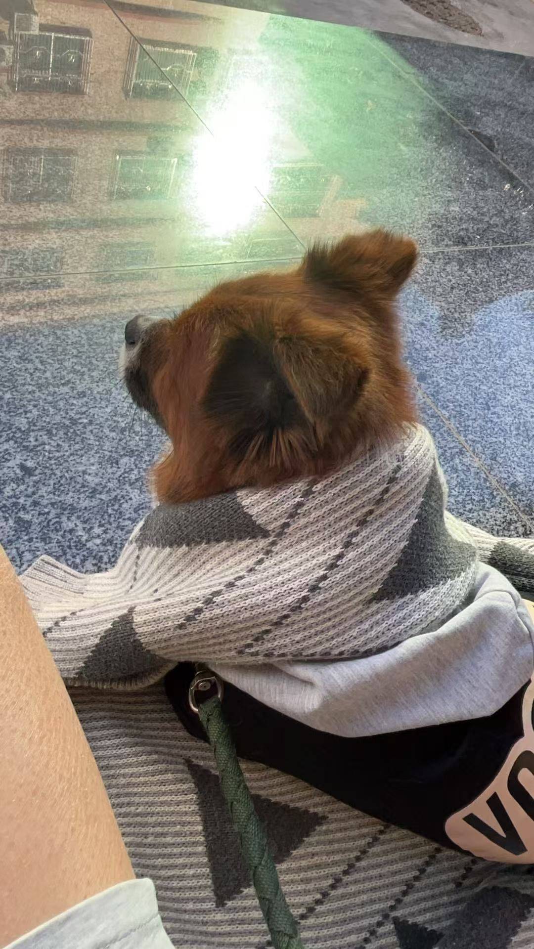 懒羊羊想征服全世界