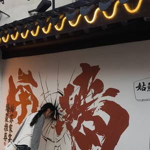 与鱼儿天上飞