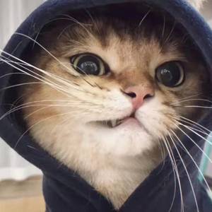 秋成