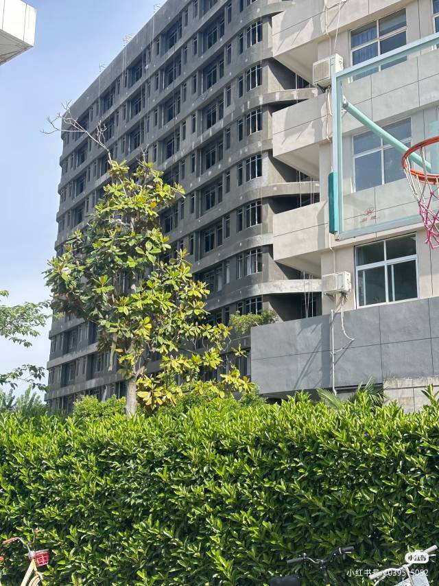 租