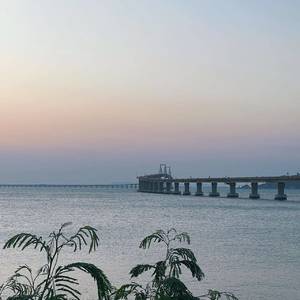 流芳