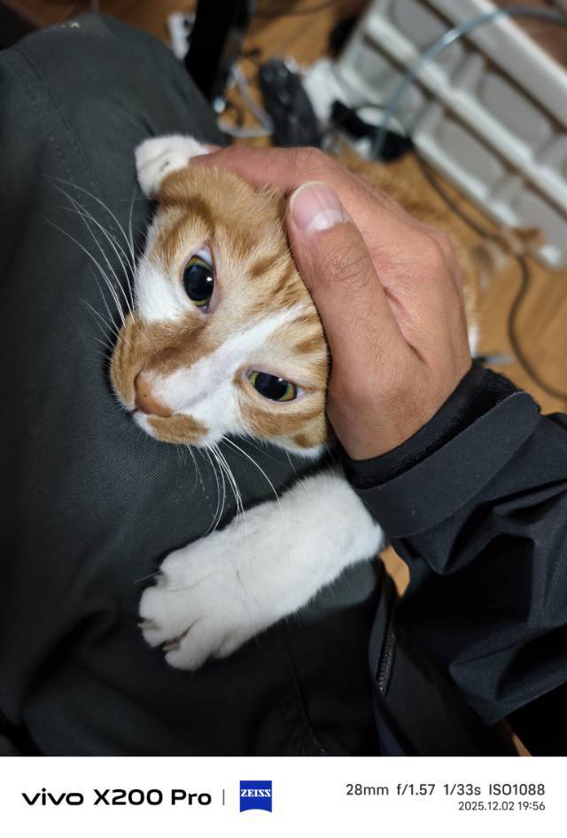 山城啤酒