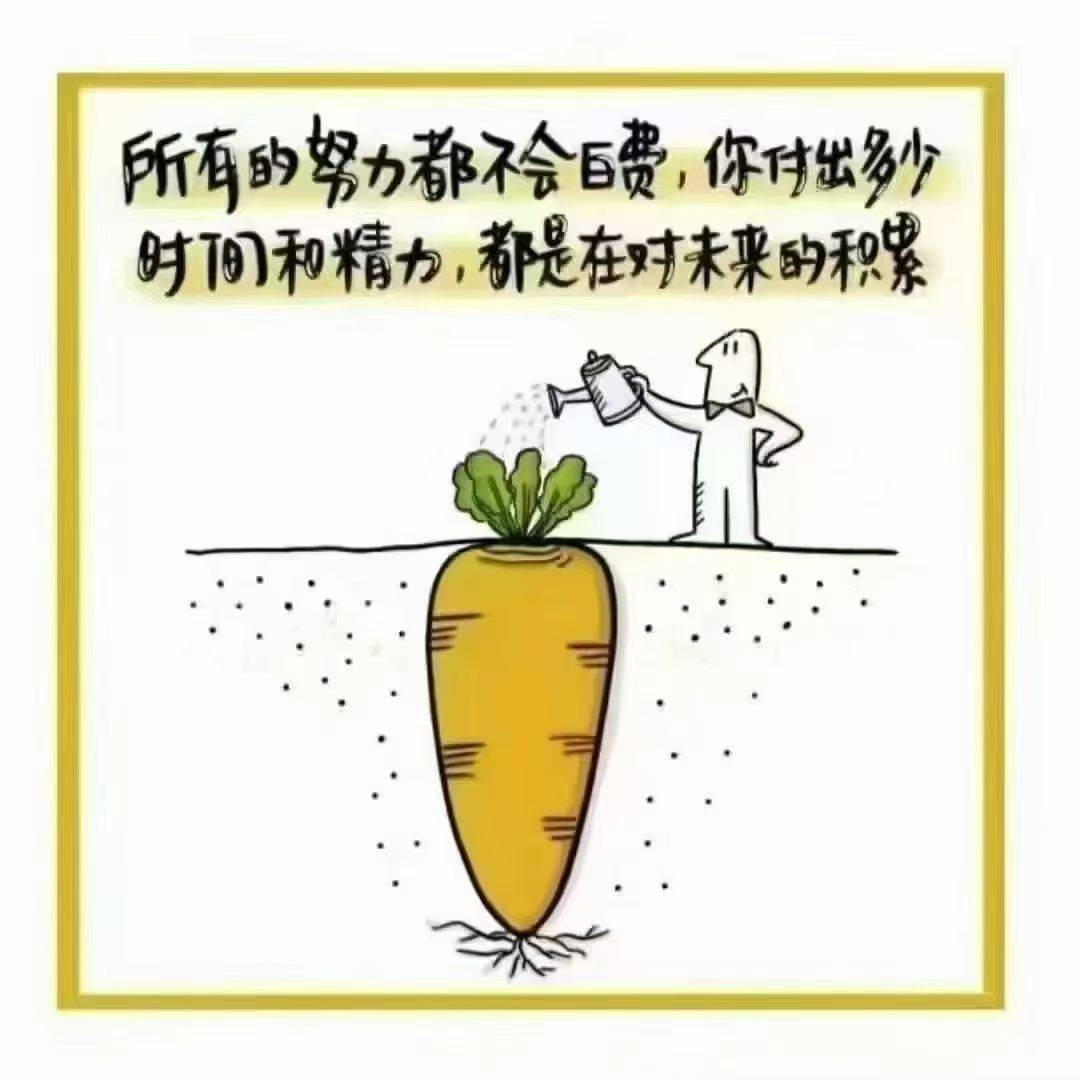 在南京奋斗的小杨