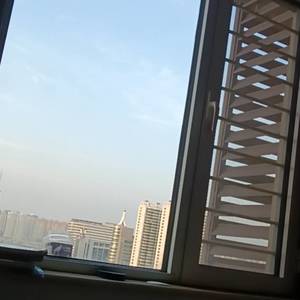 蓝天绿地
